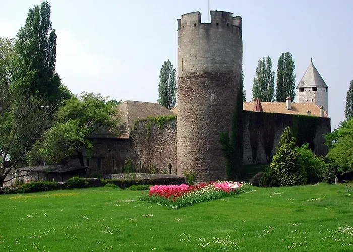 Little Nest Apartament *