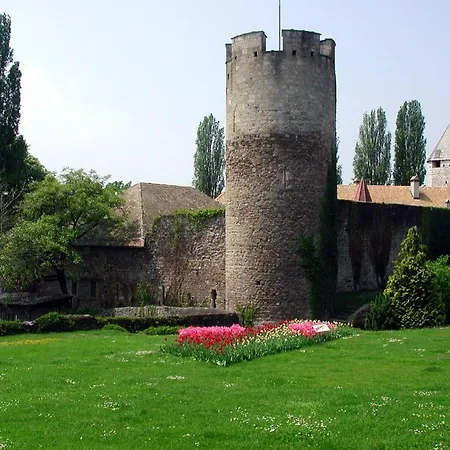 Little Nest Appartement *