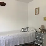 Little Nest Apartment